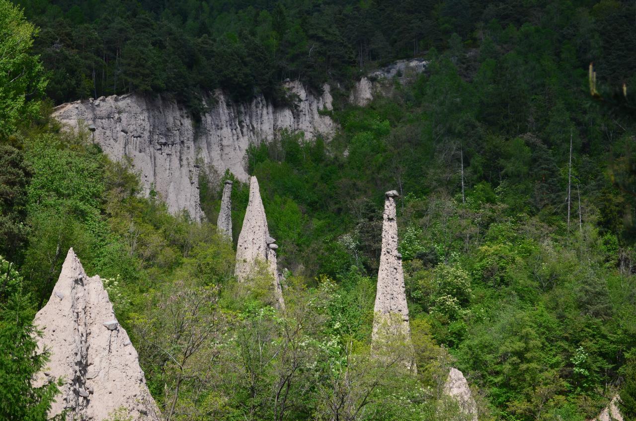Agritur All'Olivo Faver Zewnętrze zdjęcie
